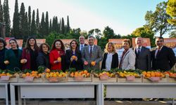 BATEM 'den dünyaya portakal