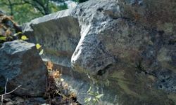 Termessos’ta 2 bin yıllık aslan başlı çörten tahrip edildi