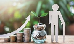 Bireysel emeklilik sisteminde devlet katkısının azaltılması gündemde