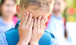 "Akran zorbalığı münferit değil, önlem şart"