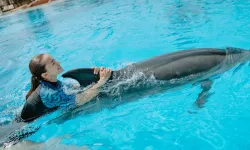 “The Land of Legends yasak deliyor, denetim makamları susuyor”