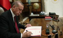 MTV, damga vergisi ve harçlara %18,95 zam