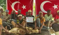 Antalya'daki boşanmadan Tanzanya nasıl nasiplendi?