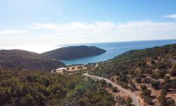 Ormanlık alana mıcır ocağı projesi