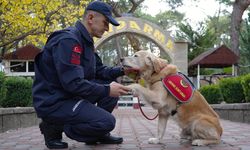 8 yılda 48 can kurtardı