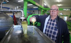 Zeytin bu sene Kumluca'nın yüzünü güldürdü