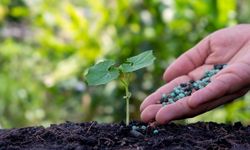 İGSAŞ, Toros ve BAGFAŞ gübre fiyatları açıklandı: Üre, DAP ve CAN gübre kaç lira?