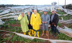 Bayraktar: Sigortasız üretici afet karşısında çaresiz