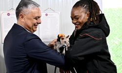 Muratpaşa'nın fareleri hayat kurtaracak