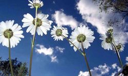 2026 yılında cemre ne zaman düşecek?