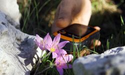 Orkidelerde kaçak söküm alarmı