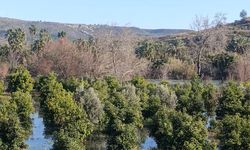 Manavgatta narenciye bahçeleri sular altında