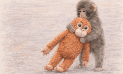 Annesi Tarafından Terk Edilen Bebek Maymun "Punch"ın Yürek Burkan Hikayesi