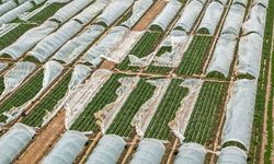 Antalya'da felaketin faturası 3 milyar TL