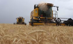 Tarım Ürünlerinde Ocak 2026 Fiyat Endeksi Açıklandı