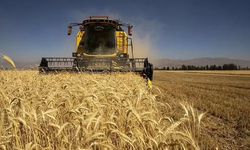 Tarımda maliyet artışı yüzde 33’ü aştı