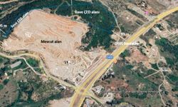 Tarımı ve ormanı zeytin kanunu korudu!