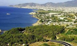 Sahillerdeki orman arazilerinde yağma sezonu açıldı!