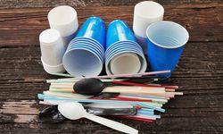 Plastik çatal, tabak ve pipetlerin kullanımı yasaklanıyor