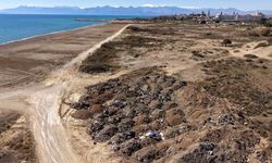 Kumköy Sahili’nde Caretta yuvalarının altında 1500 foseptik