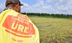 Tarım Kredi’de gübre krizi