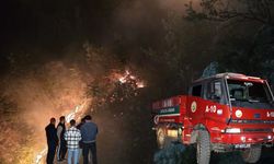 Alanya'da çıkan orman yangını söndürüldü