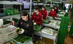 İran’daki tedarik sorunu yaş sebze meyvede Antalya ihracatını hareketlendirdi