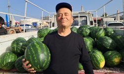 Serik’te erkenci karpuz  40 TL’den alıcı buldu