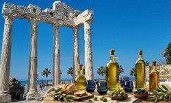 Apollon tapınağı’nda zeytinyağı kalite yarışması