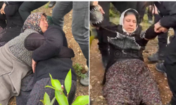 Mersin’de köylülerin ‘bahçe’ direnişi: