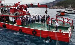 Antalya'da 'katil ağlar' toplanıyor