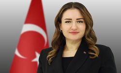 Başkan Vekili Özdemir'in 19 Mayıs mesajı