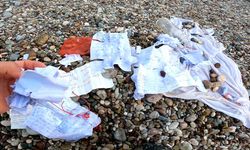Hıdırellez geleneği deniz temizliğiyle buluştu