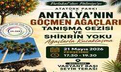 Atatürk Parkı bu kez “göçmen ağaçlar” için keşfedilecek