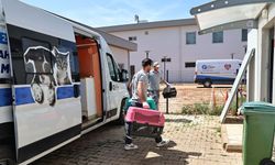 Antalya’da sokak hayvanları için 7/24 ambulans hizmeti