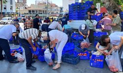 5 liraya alıcı çıkmadı, 4 ton domatesi bedava dağıttı