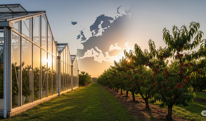Avrupa'nın sebze meyve üretiminin yarıdan fazlası beş ülkeden