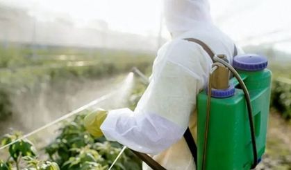 Mahkeme: Pestisit denetimlerini açıklamak zorundasın