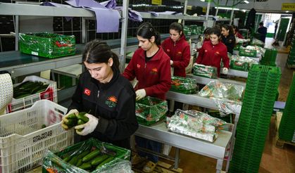 İran’daki tedarik sorunu yaş sebze meyvede Antalya ihracatını hareketlendirdi