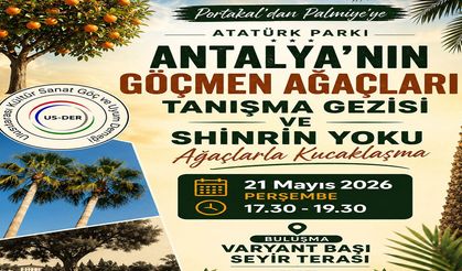 Atatürk Parkı bu kez “göçmen ağaçlar” için keşfedilecek