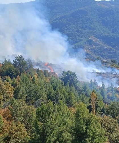 Tarım arazisindeki yangın büyümeden söndürüldü