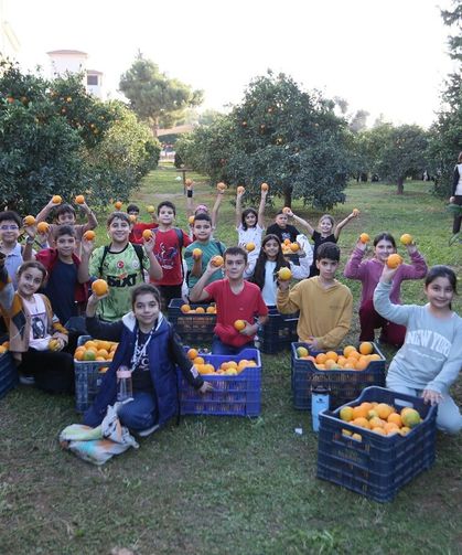 Dokumapark’ta C vitamini kuyruğu: Gelene bedava!
