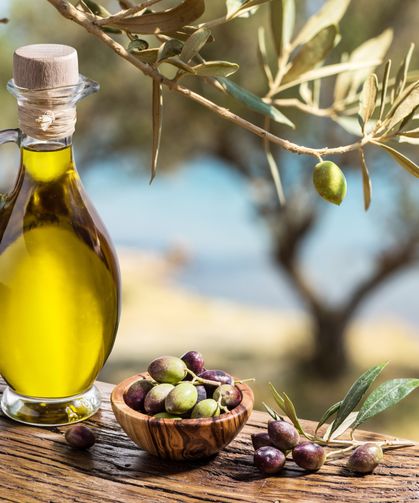 Zeytinyağı Çalıştayı 11 Şubat’ta Antalya’da