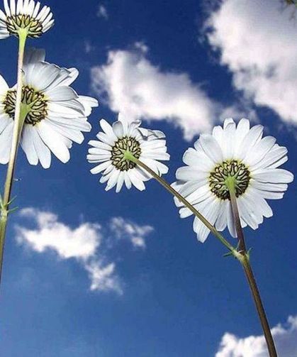 2026 yılında cemre ne zaman düşecek?