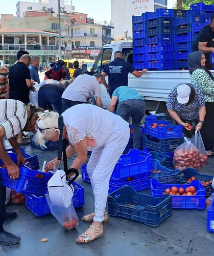 5 liraya alıcı çıkmadı, 4 ton domatesi bedava dağıttı
