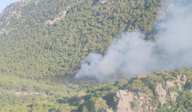 Antalya’daki orman yangını: 0.2 hektarlık alan zarar gördü