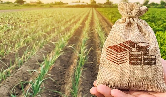 Tarım enflasyonu Eylül’de de rekor seviyede