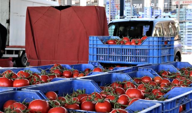 Domatesin fiyatı arttı miktarı azaldı