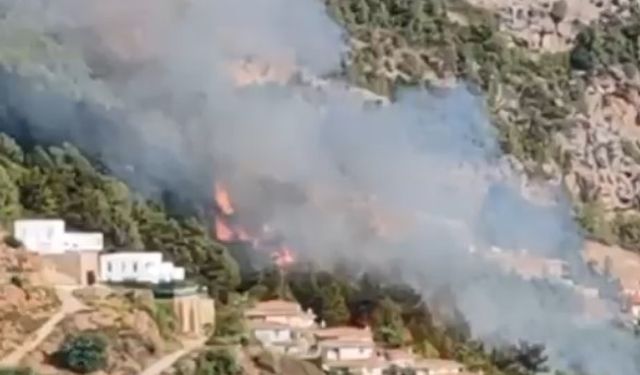 Alanya'da orman yangını çıktı