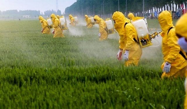 Türkiye’de pestisit kullanımı 10 yılda yüzde 45 arttı